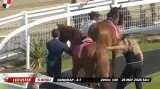 مدربة خيول تتلقى ركلة مباغتة من حصان أثناء بث مباشر في بريطانيا (فيديو)